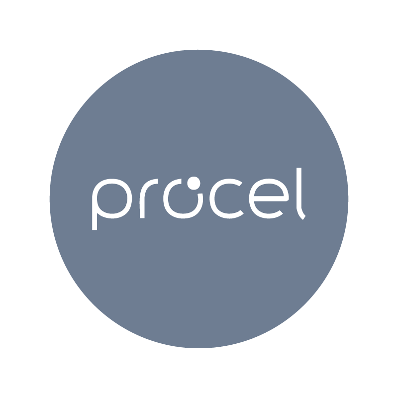 procel-ln-consultores